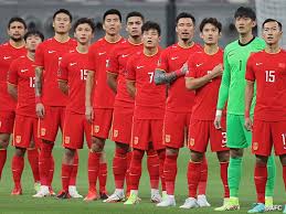 力争在国内
